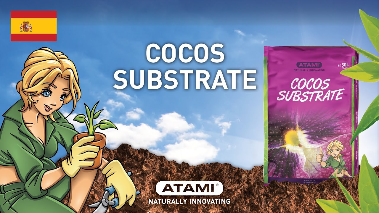Cocos Substrate | (ES)