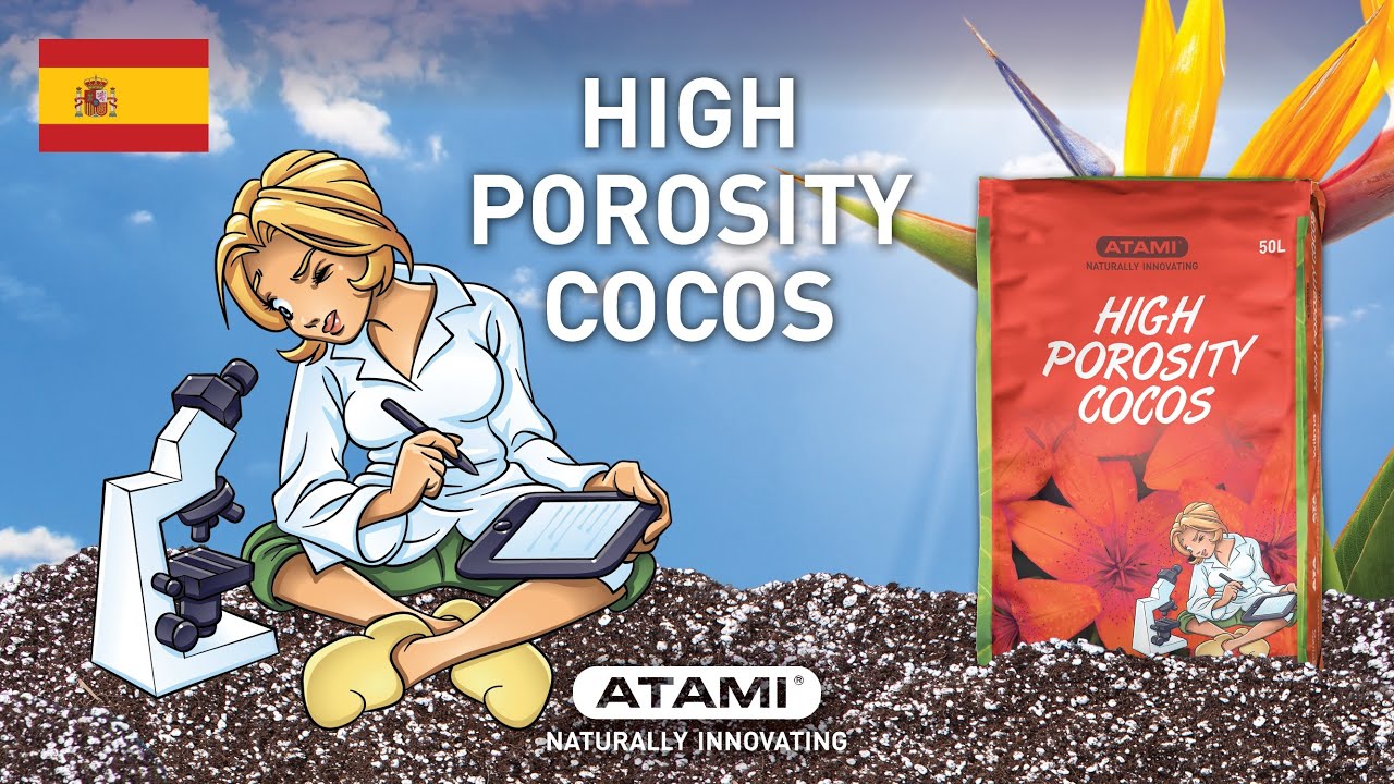 High Porosity Cocos | (ES)