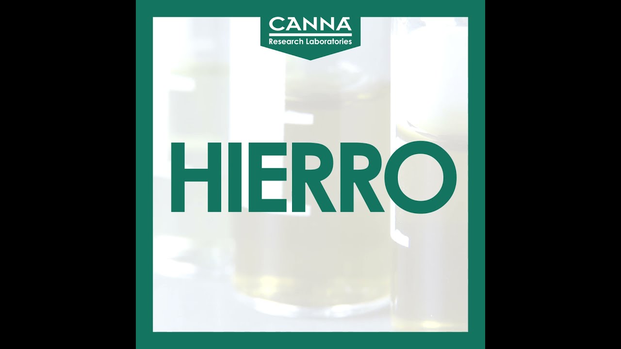 HIERRO - Carencia Mononutrientes - Guía Deficiencia CANNA