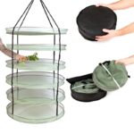 Malla de Secado Dark Box Dryer