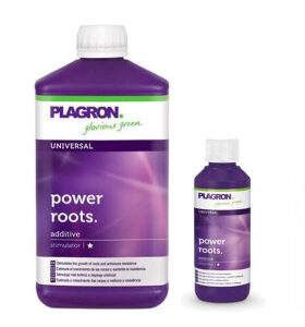 Plagron Power Roots