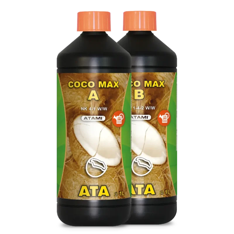ATA Coco Max Main Image