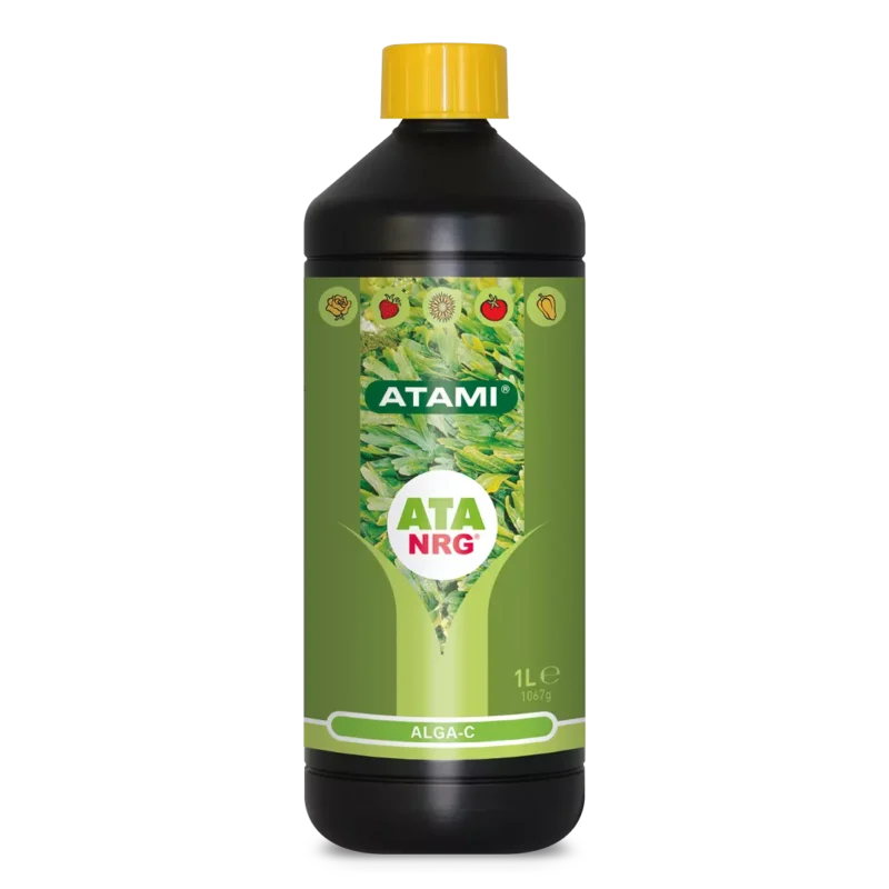 ATA NRG Alga C Main Image