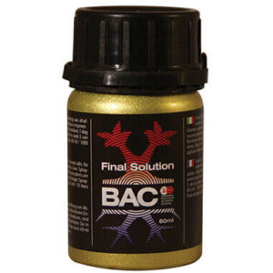 BAC Final Solution
