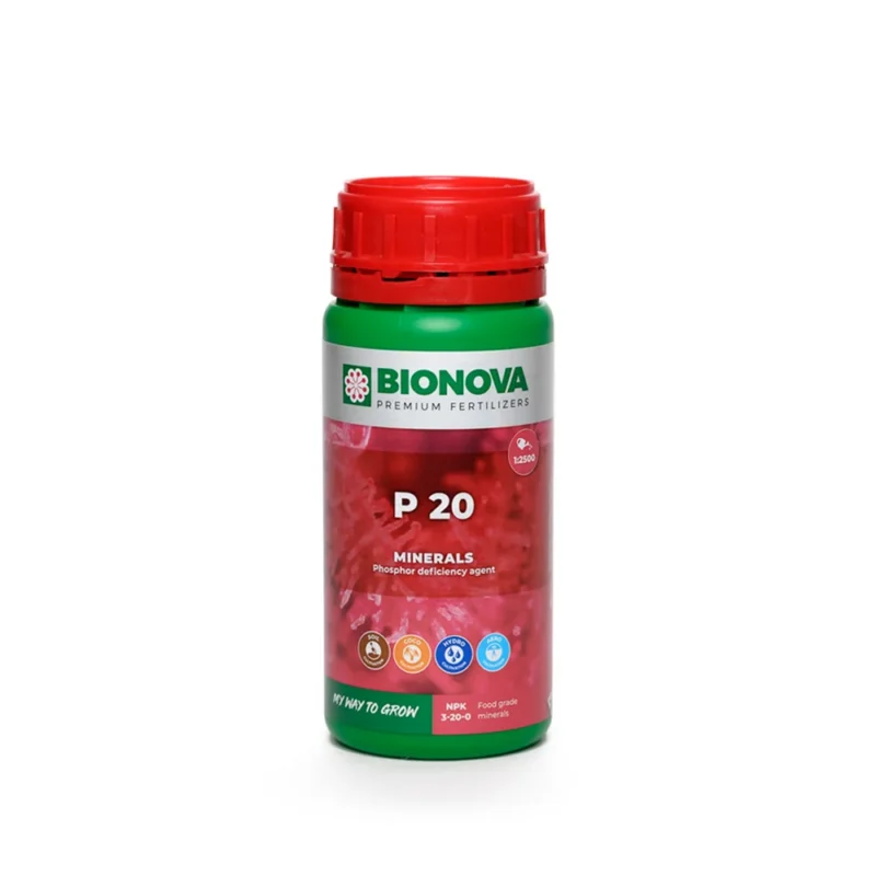 P 20 Fosforo Bionova