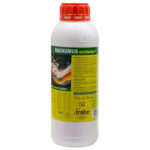 Trabe Bachumus Ecohemp-F