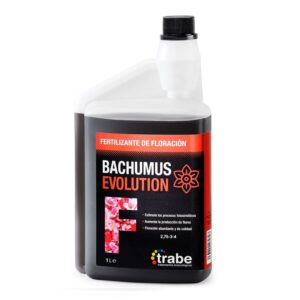 Trabe Bachumus Evolution-F Floracion