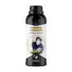 Cannaboom Raisana
