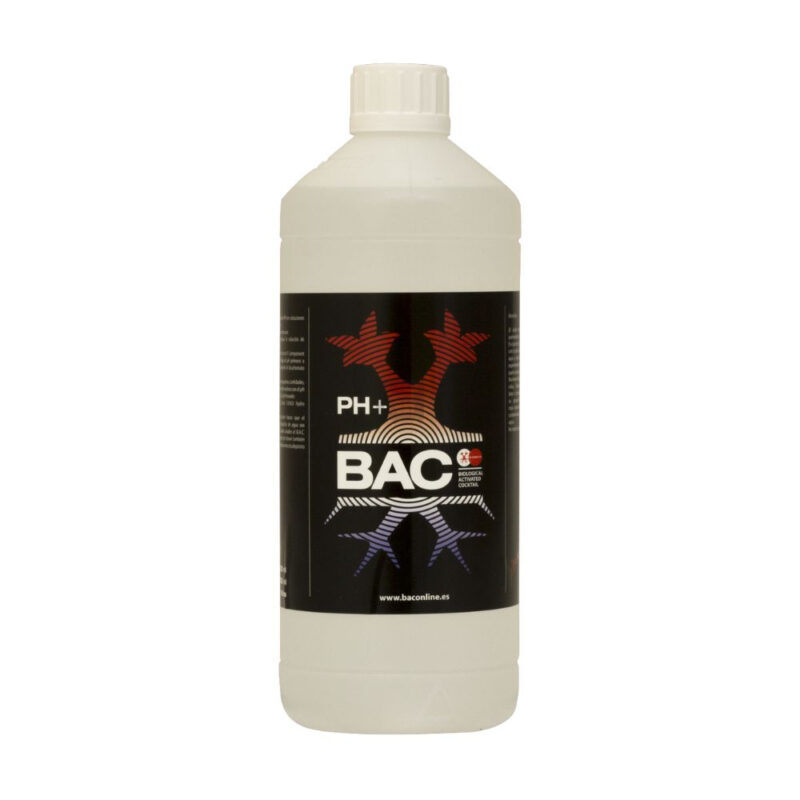 ph up bac