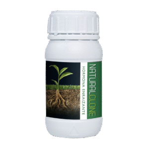 Trabe Natural Clone
