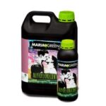 Maria Green Autofloreciente