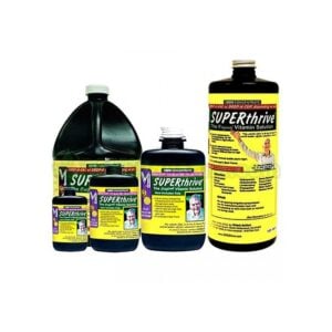 SUPERThrive