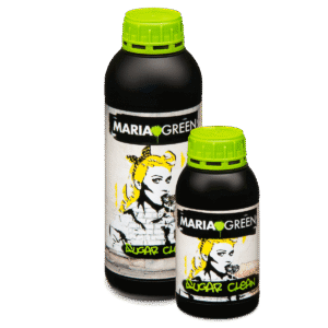 Maria Green Sugar Clean