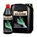 Growth Technology Liquid Silicon