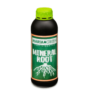 Maria Green Mineral Root