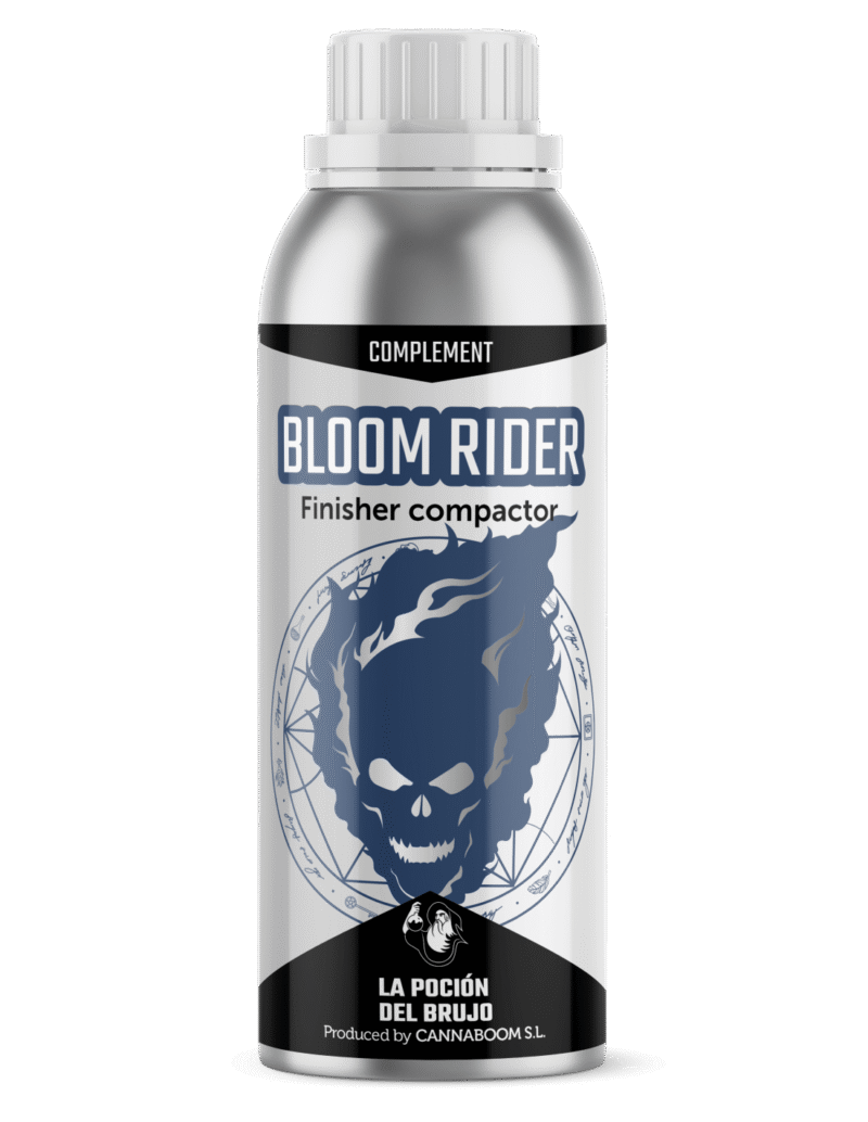 bloom rider