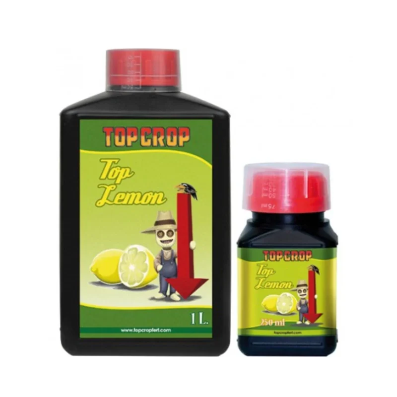top crop top lemon ph