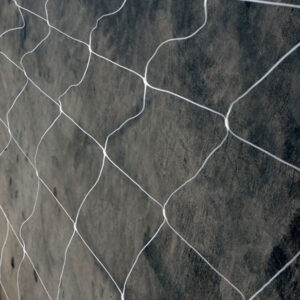 Malla de Entutorar VDL 2x5m