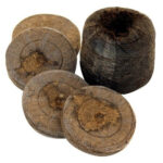 Pastilla de Turba Jiffy-7 24mm