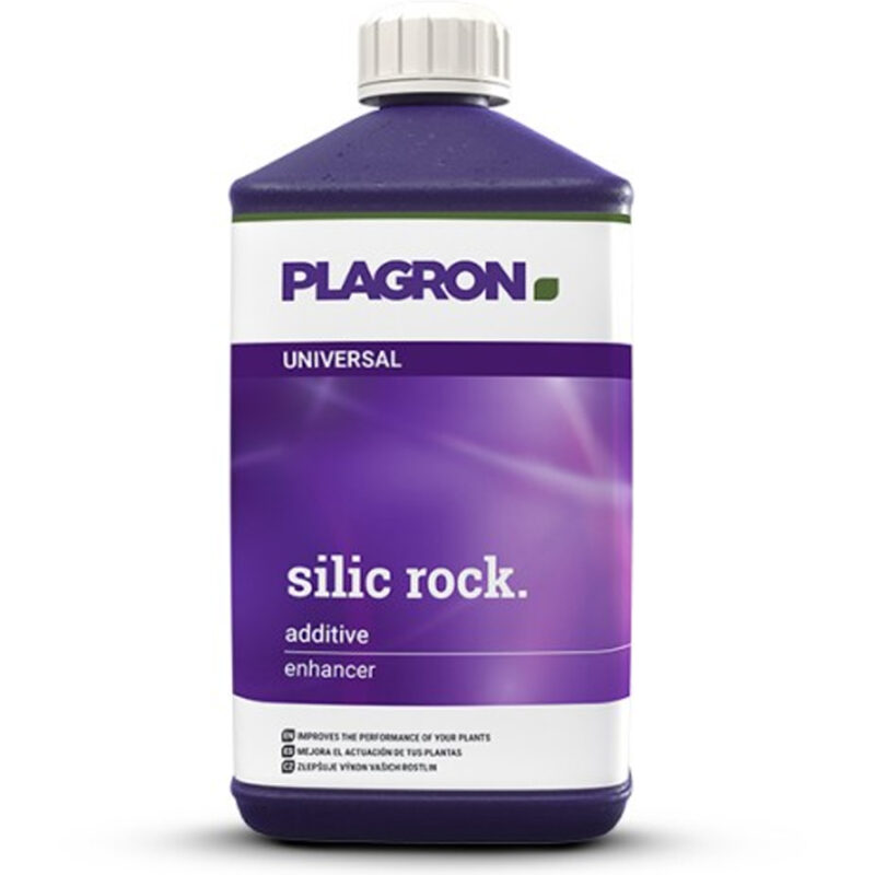 silic rock