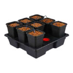 Nutriculture  Sistema Hidropónico Wilma V2 XL 8 11L