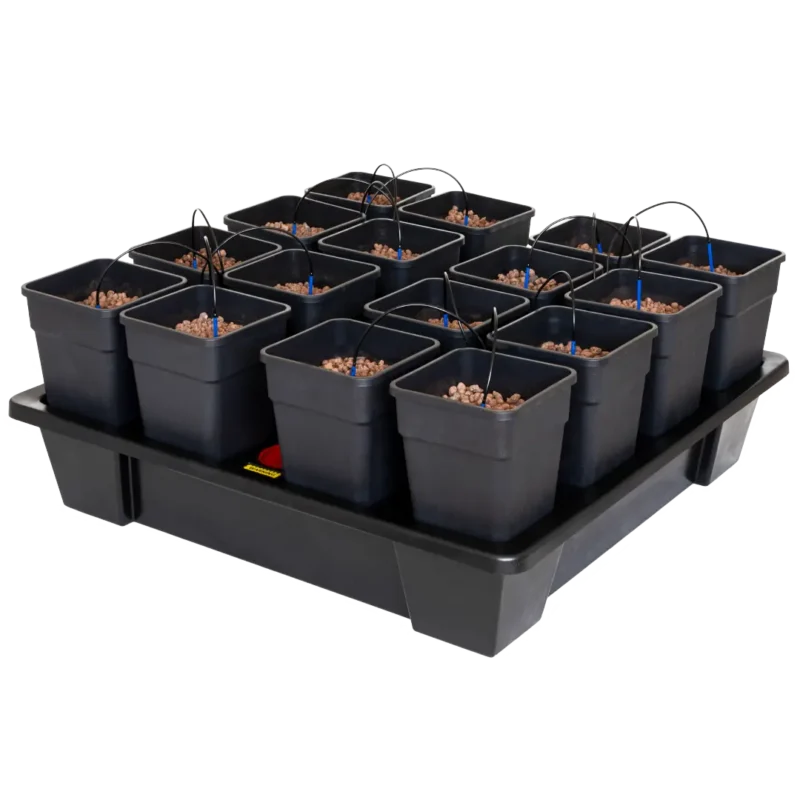 Wilma XXL 16 Complete 11l Main Image