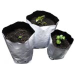 Bolsas de Cultivo (50 Unidades)