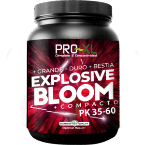 Pro-XL Explosive Bloom