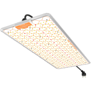 Foco LED Ignator Heroled F240W