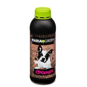 Maria Green Cogollos