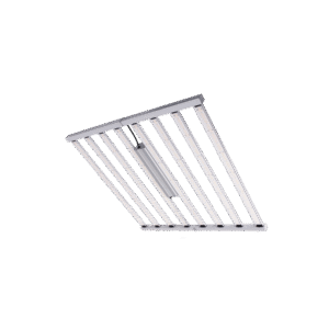 Vanguard Hydroponics Sistema LED Spider King 1000W
