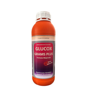 Glucox Grams Plus