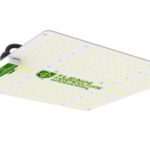 Quantum Board Platinum LED