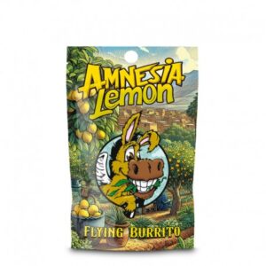 CBD Hash Flying Burrito Amnesia Lemon