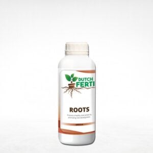 Dutch Ferti Roots