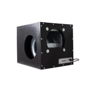 Caja Foam Dutch Masters